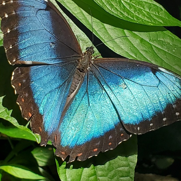 Meet your Posher, Caroline - Picture 1 of 1